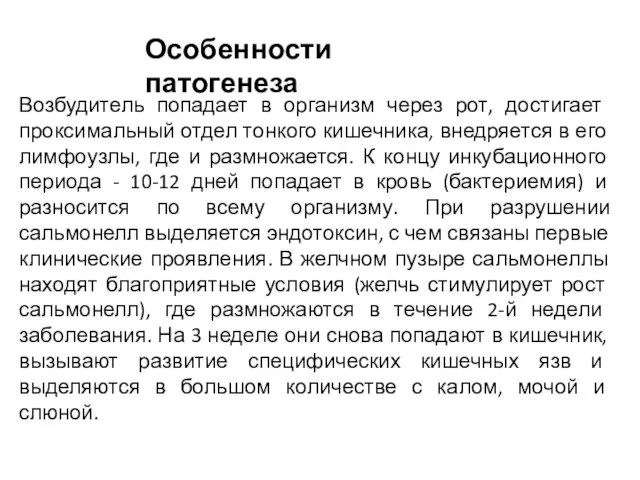 Возбудитель попадает в организм через рот, достигает проксимальный отдел тонкого кишечника,