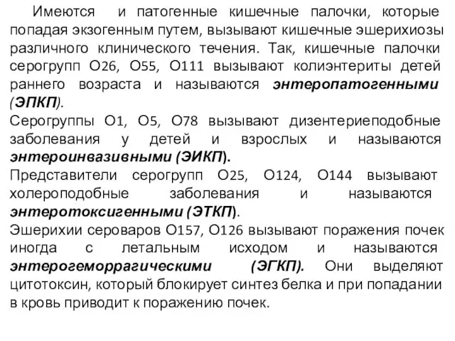 Имеются и патогенные кишечные палочки, которые попадая экзогенным путем, вызывают кишечные