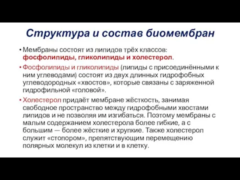 Структура и состав биомембран Мембраны состоят из липидов трёх классов: фосфолипиды,