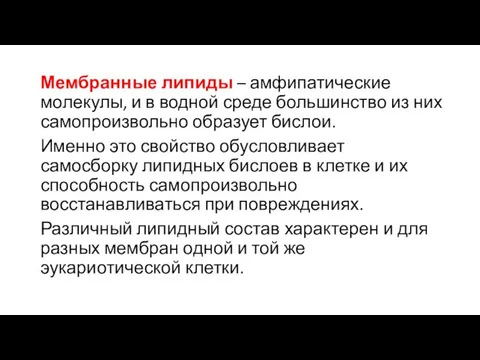 Мембранные липиды – амфипатические молекулы, и в водной среде большинство из