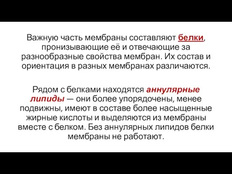 Важную часть мембраны составляют белки, пронизывающие её и отвечающие за разнообразные