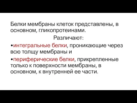 Белки мембраны клеток представлены, в основном, гликопротеинами. Различают: •интегральные белки, проникающие