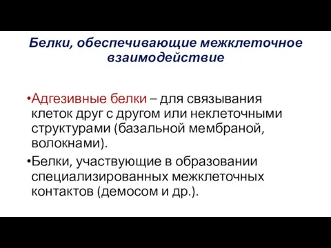 Белки, обеспечивающие межклеточное взаимодействие Адгезивные белки – для связывания клеток друг