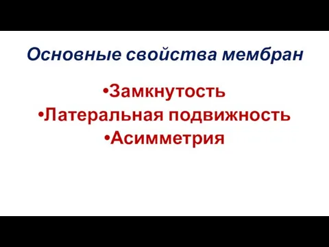 Основные свойства мембран Замкнутость Латеральная подвижность Асимметрия