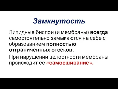 Замкнутость Липидные бислои (и мембраны) всегда самостоятельно замыкаются на себе с