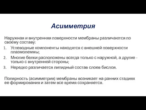 Асимметрия Наружная и внутренняя поверхности мембраны различаются по своему составу: Углеводные