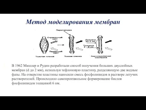 Метод моделирования мембран В 1962 Мюллер и Рудин разработали способ получения