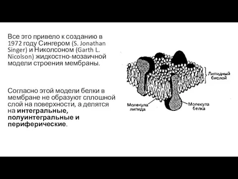 Все это привело к созданию в 1972 году Сингером (S. Jonathan