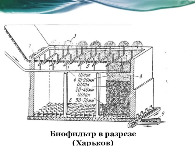 Биофильтр в разрезе (Харьков)