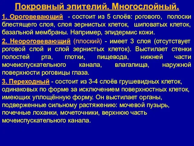 Покровный эпителий. Многослойный. 1. Ороговевающий - состоит из 5 слоёв: рогового,