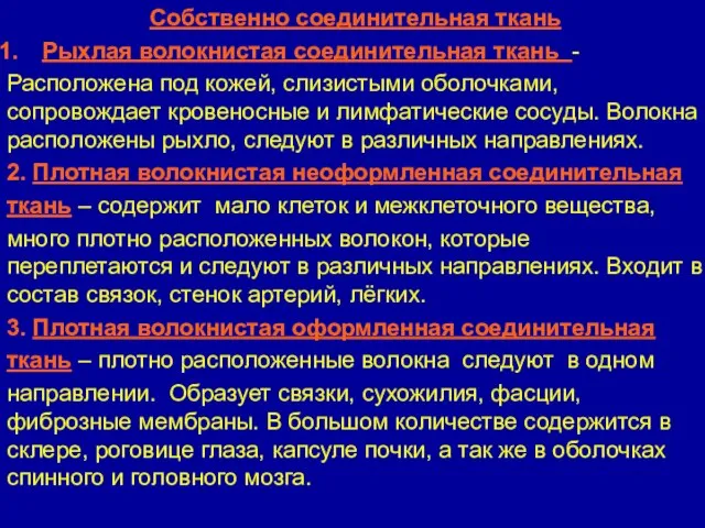 Собственно соединительная ткань Рыхлая волокнистая соединительная ткань - Расположена под кожей,