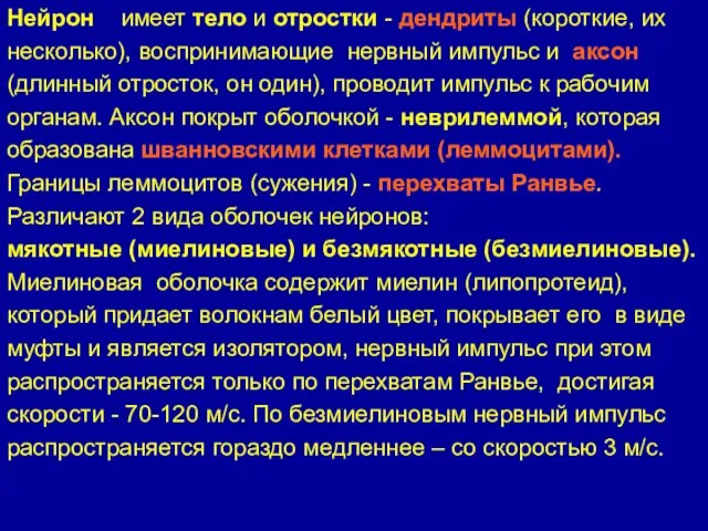 Нейрон имеет тело и отростки - дендриты (короткие, их несколько), воспринимающие