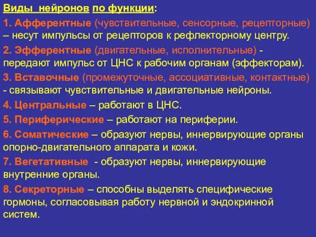 Виды нейронов по функции: 1. Афферентные (чувствительные, сенсорные, рецепторные) – несут