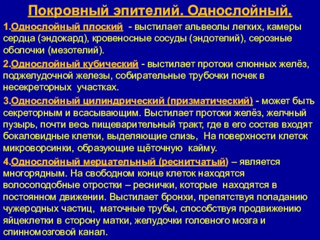 Покровный эпителий. Однослойный. 1.Однослойный плоский - выстилает альвеолы легких, камеры сердца