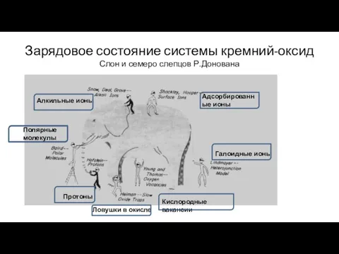 Зарядовое состояние системы кремний-оксид Слон и семеро слепцов Р.Донована Адсорбированные ионы