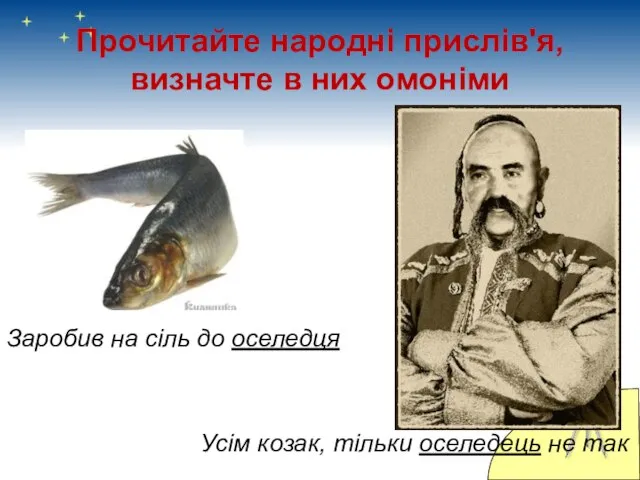 Прочитайте народні прислів'я, визначте в них омоніми Усім козак, тільки оселедець