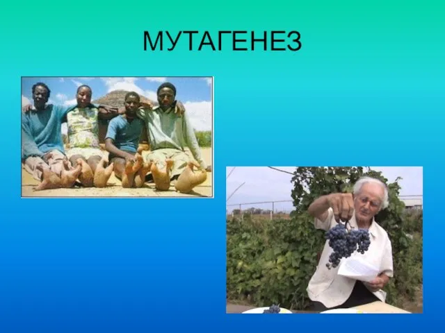 МУТАГЕНЕЗ