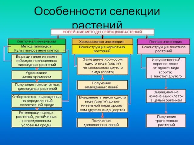 Особенности селекции растений