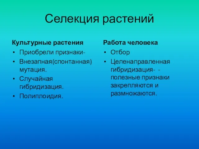 Селекция растений Культурные растения Приобрели признаки- Внезапная(спонтанная) мутация. Случайная гибридизация. Полиплоидия.