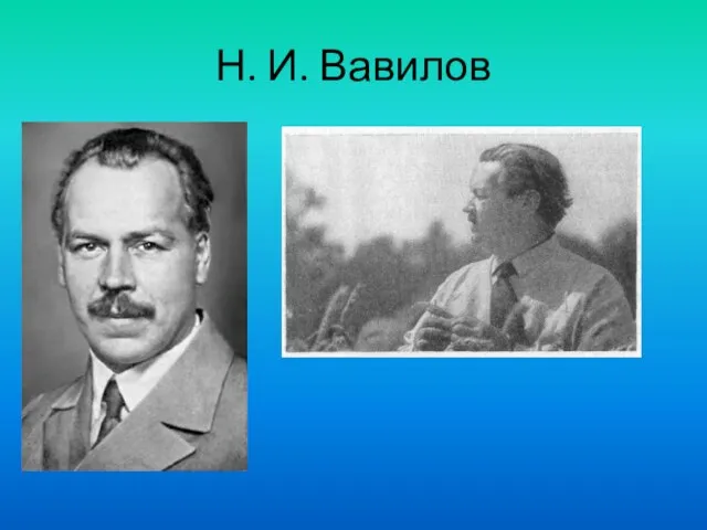 Н. И. Вавилов