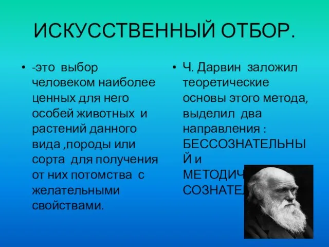 ИСКУССТВЕННЫЙ ОТБОР. -это выбор человеком наиболее ценных для него особей животных