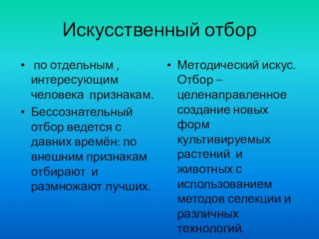 Искусственный отбор по отдельным ,интересующим человека признакам. Бессознательный отбор ведется с