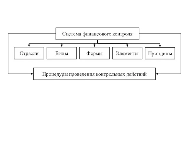 Система финансового контроля Отрасли Виды Формы Элементы Принципы Процедуры проведения контрольных действий