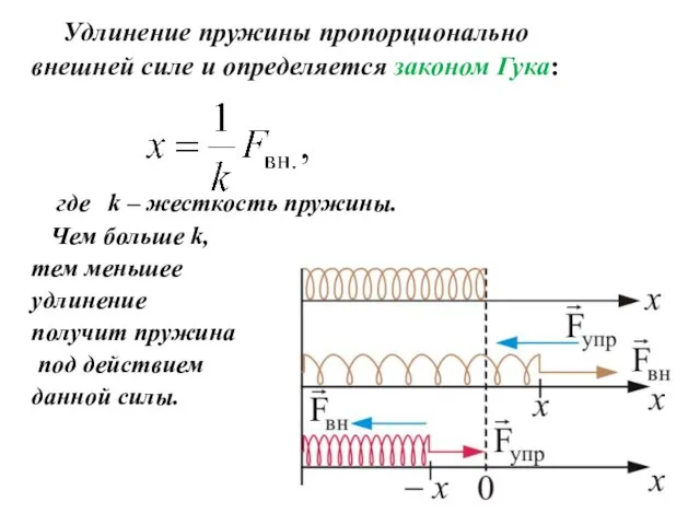 Удлинение пружины пропорционально внешней силе и определяется законом Гука: где k