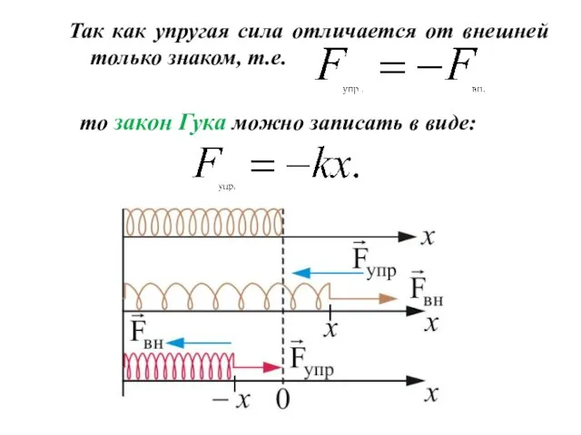 Так как упругая сила отличается от внешней только знаком, т.е. то