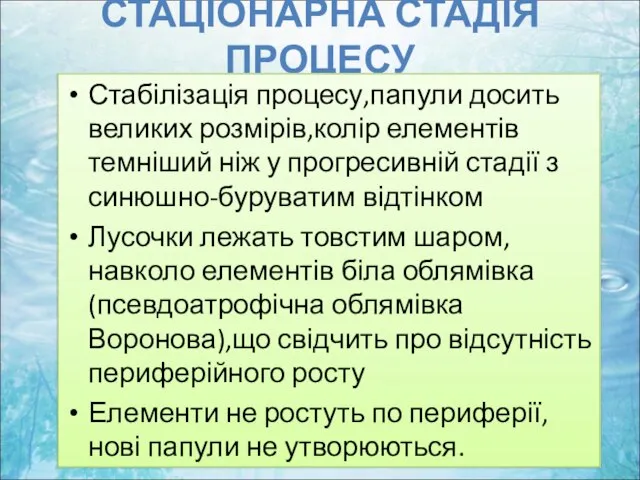 СТАЦІОНАРНА СТАДІЯ ПРОЦЕСУ Стабілізація процесу,папули досить великих розмірів,колір елементів темніший ніж