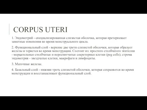 СORPUS UTERI 1. Эндометрий - специализированная слизистая оболочка, которая претерпевает заметные