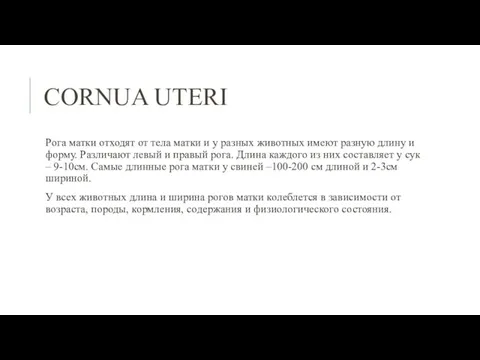 СORNUA UTERI Рога матки отходят от тела матки и у разных