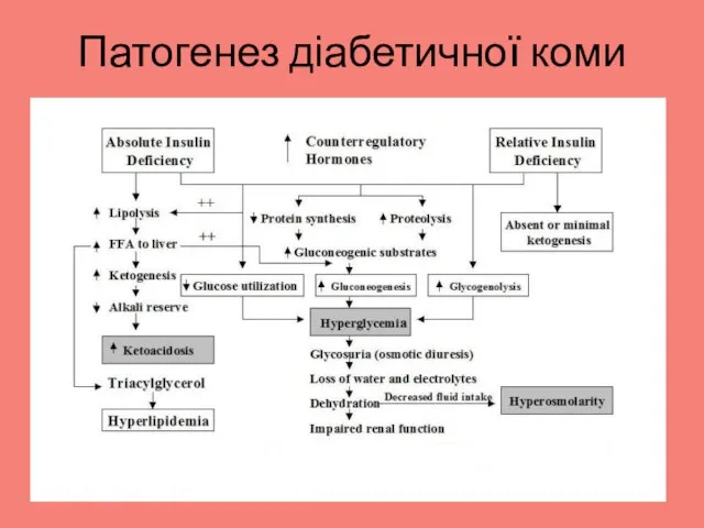 Патогенез діабетичної коми