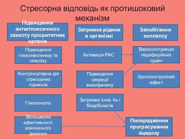 Стресорна відповідь як протишоковий механізм Підвищення антигіпоксичного захисту пріоритетних органів Глікогеноліз