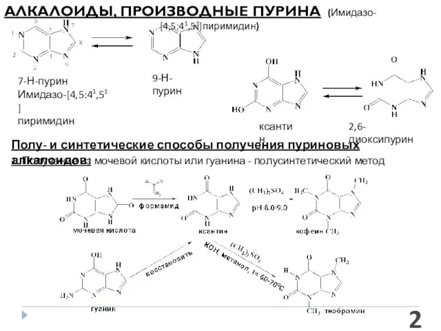 АЛКАЛОИДЫ, ПРОИЗВОДНЫЕ ПУРИНА (Имидазо- [4,5:41,51]пиримидин) 7-Н-пурин Имидазо-[4,5:41,51] пиримидин 9-Н-пурин ксантин 2,6-диоксипурин