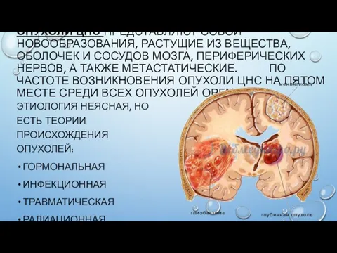 ОПУХОЛИ ЦНС ПРЕДСТАВЛЯЮТ СОБОЙ НОВООБРАЗОВАНИЯ, РАСТУЩИЕ ИЗ ВЕЩЕСТВА, ОБОЛОЧЕК И СОСУДОВ