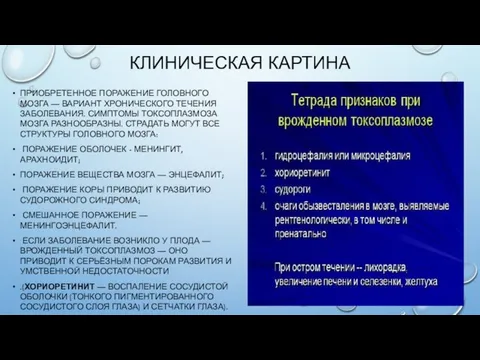 КЛИНИЧЕСКАЯ КАРТИНА ПРИОБРЕТЕННОЕ ПОРАЖЕНИЕ ГОЛОВНОГО МОЗГА — ВАРИАНТ ХРОНИЧЕСКОГО ТЕЧЕНИЯ ЗАБОЛЕВАНИЯ.