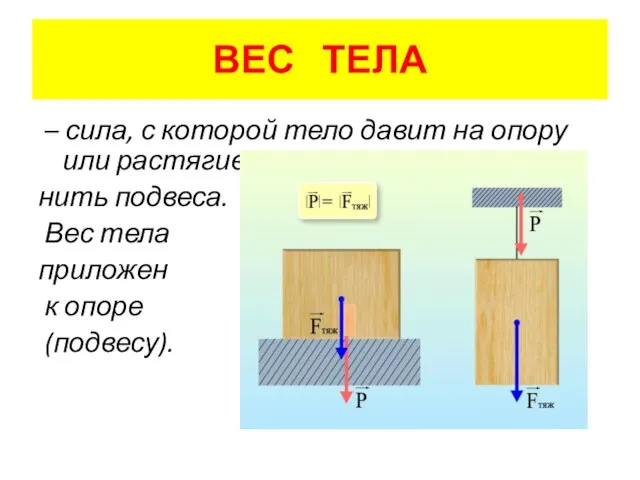 ВЕС ТЕЛА – сила, с которой тело давит на опору или