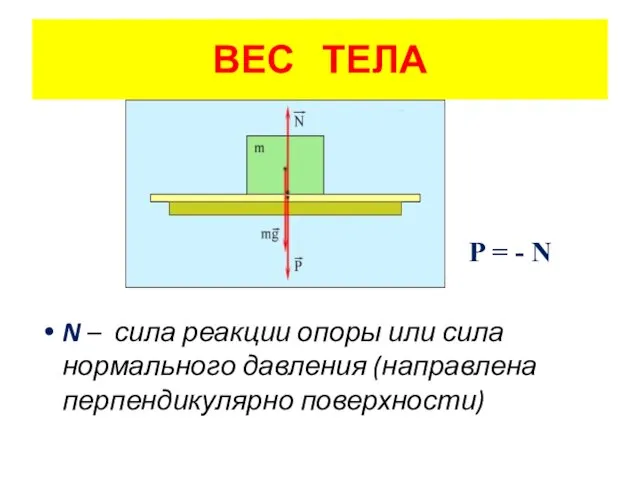 ВЕС ТЕЛА P = - N N – сила реакции опоры