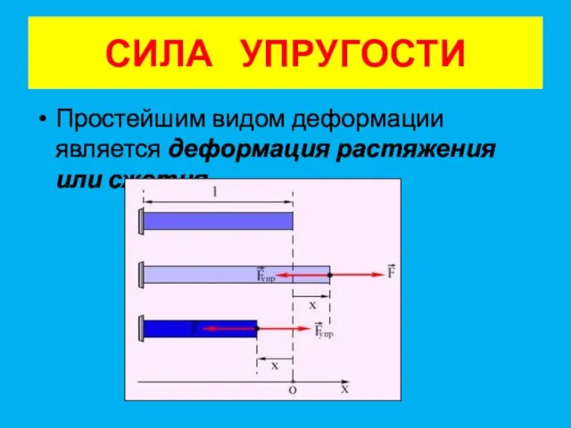 СИЛА УПРУГОСТИ Простейшим видом деформации является деформация растяжения или сжатия