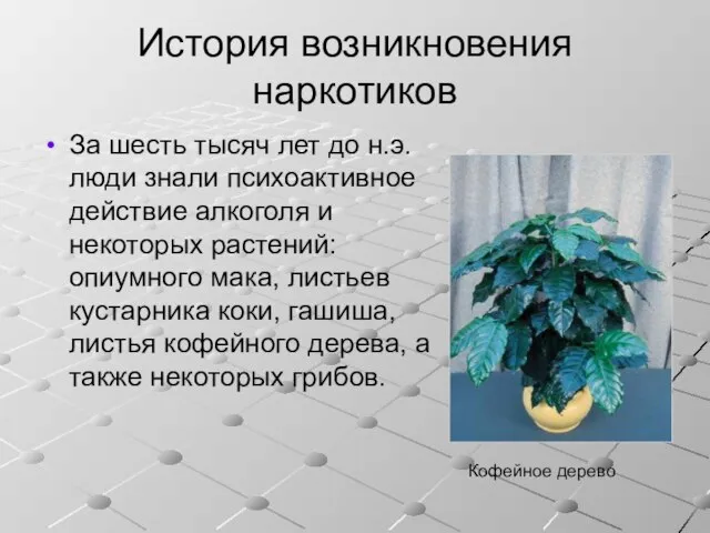 История возникновения наркотиков За шесть тысяч лет до н.э. люди знали