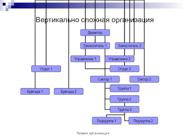 Теория организации Вертикально сложная организация