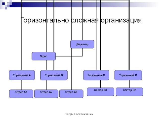 Теория организации Горизонтально сложная организация