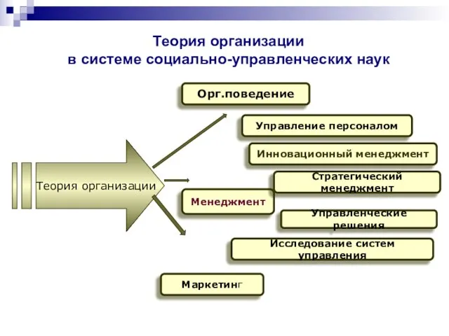 Теория организации в системе социально-управленческих наук Теория организации Орг.поведение Управление персоналом