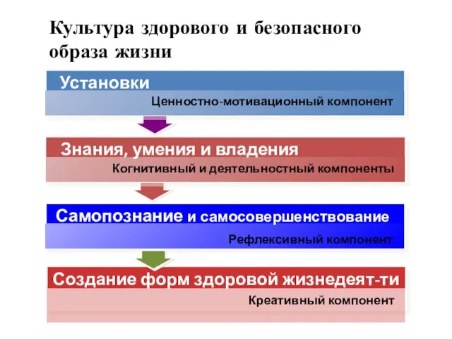 Когнитивный и деятельностный компоненты Рефлексивный компонент Знания, умения и владения Самопознание