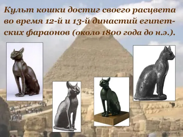 Культ кошки достиг своего расцвета во время 12-й и 13-й династий