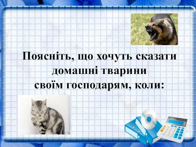 Поясніть, що хочуть сказати домашні тварини своїм господарям, коли: Поясніть, що