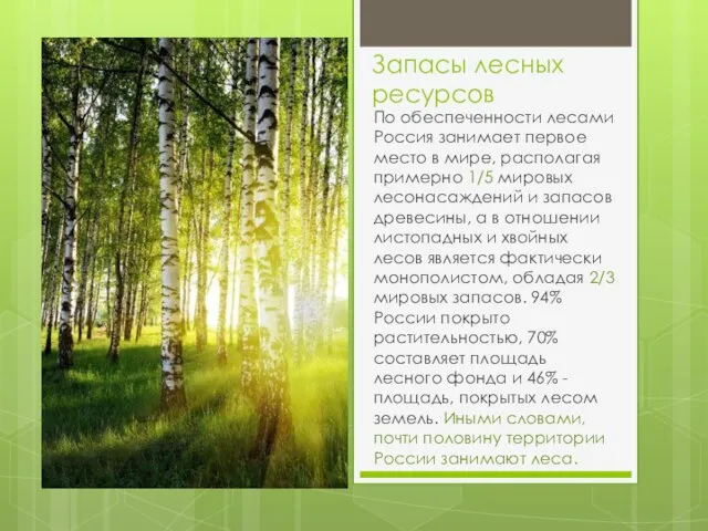 Запасы лесных ресурсов По обеспеченности лесами Россия занимает первое место в