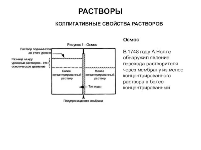 РАСТВОРЫ КОЛЛИГАТИВНЫЕ СВОЙСТВА РАСТВОРОВ Осмос В 1748 году А.Нолле обнаружил явление