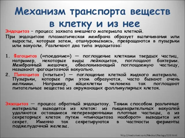 Механизм транспорта веществ в клетку и из нее Эндоцитоз – процесс